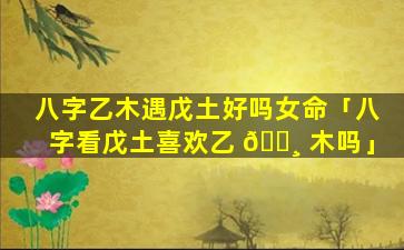 八字乙木遇戊土好吗女命「八字看戊土喜欢乙 🕸 木吗」